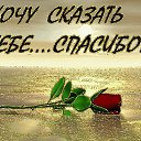 ���� ������, ������, 60 ��� - ��������� 5 ������ 2017 � ������ ���� ����������