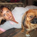 ���� �����, ������, 49 ��� - ��������� 8 ������ 2017 � ������ ���� ����������