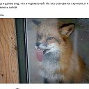 ���� ������, ������-��-���� - ��������� 13 ���� 2017 � ������ ���� ����������