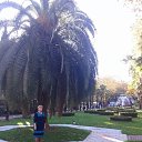 ���� �������, ������������ - ��������� 9 ������� 2017 � ������ ���� ����������