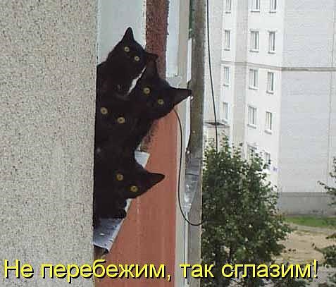       - 12  2017  12:42