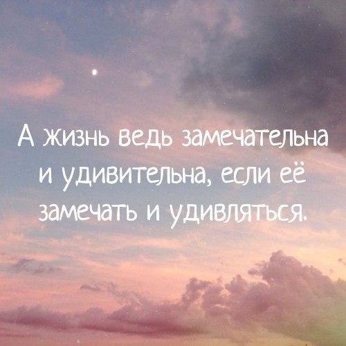    - 17  2017  12:41