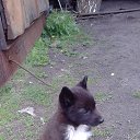 ���� �������, ����������� - ��������� 5 ���� 2017 � ������ ������� ��.�