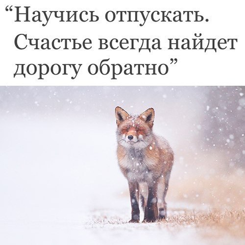   - 11  2017  03:41