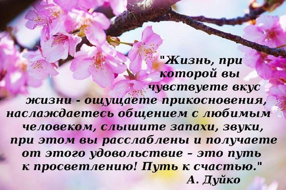  - 20  2017  13:40