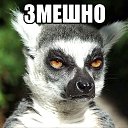 ���� ���������), ������ - ��������� 28 �������� 2017
