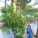 ���� ����, ������� - ��������� 22 ���� 2017