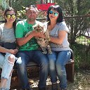 ���� �������, �����������, 53 ���� - ��������� 1 ��� 2017 � ������ ������ ��������