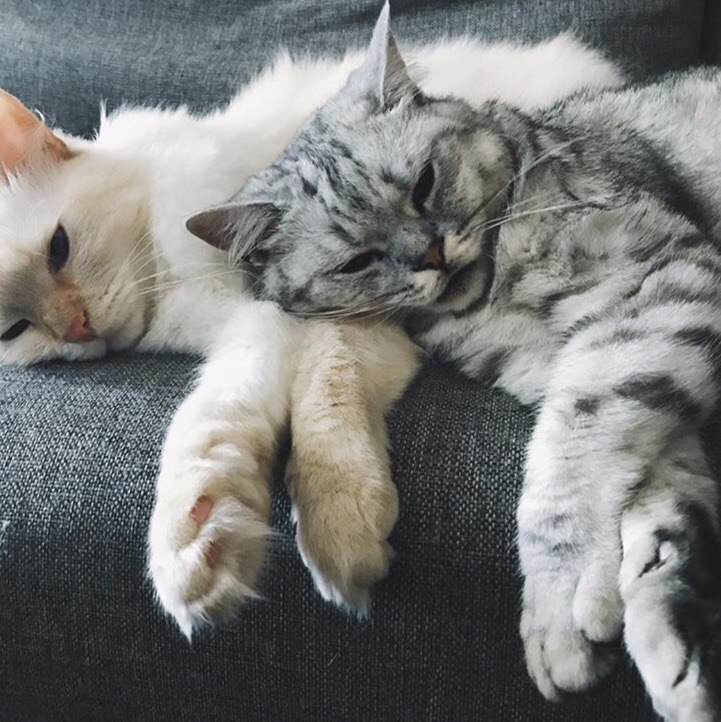   :3 - 2