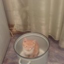 ���� ������, ������, 57 ��� - ��������� 11 ������ 2017 � ������ ���� ����������