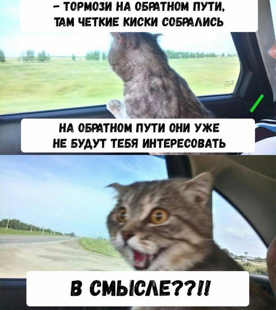   - 11  2017  23:01