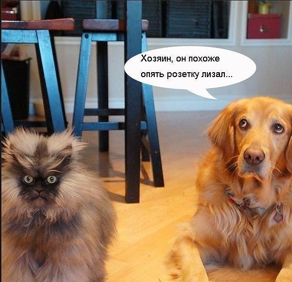    .     ))) - 29