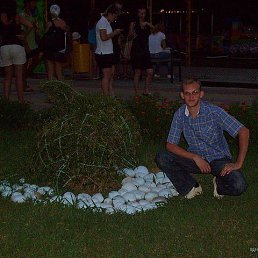 ���� ������, �������, 41 ��� - ��������� 12 ������ 2017