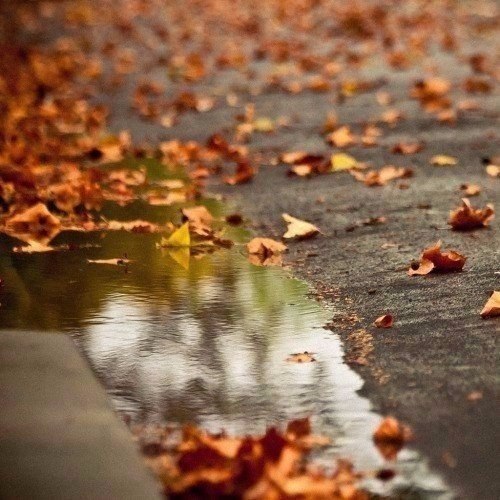  -    ,  , ,    , , ... - 2