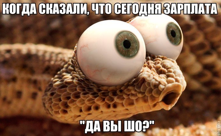    :D - 8  2017  03:32