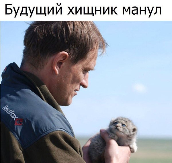 !