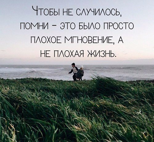  | ,  - 8  2017  16:01
