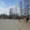 ���� �������, �����-���������, 71 ��� - ��������� 9 ��� 2017 � ������ ������ ��������