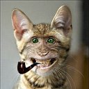 ���� �������������, ����, 45 ��� - ��������� 16 �������� 2017 � ������ ���� ����������