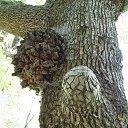 ���� �������, �����-���������, 58 ��� - ��������� 6 ������� 2017 � ������ ���� ����������