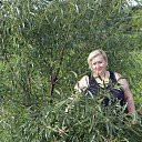  Lyudmila,  -  28  2017    