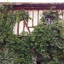 ���� Pevril, ������, 54 ���� - ��������� 17 ������� 2017 � ������ ������ ��������