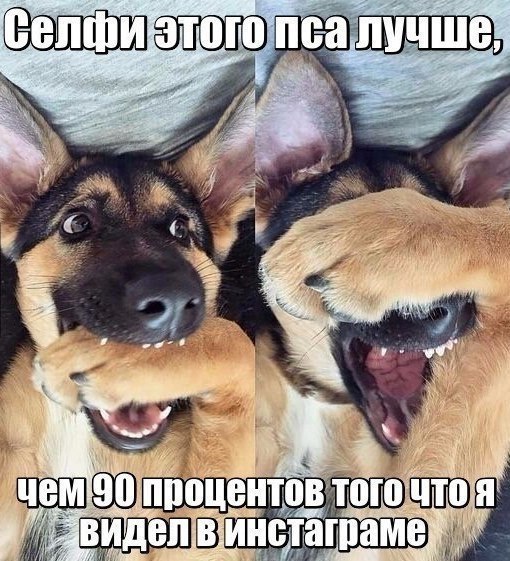    :D - 30  2017  01:34