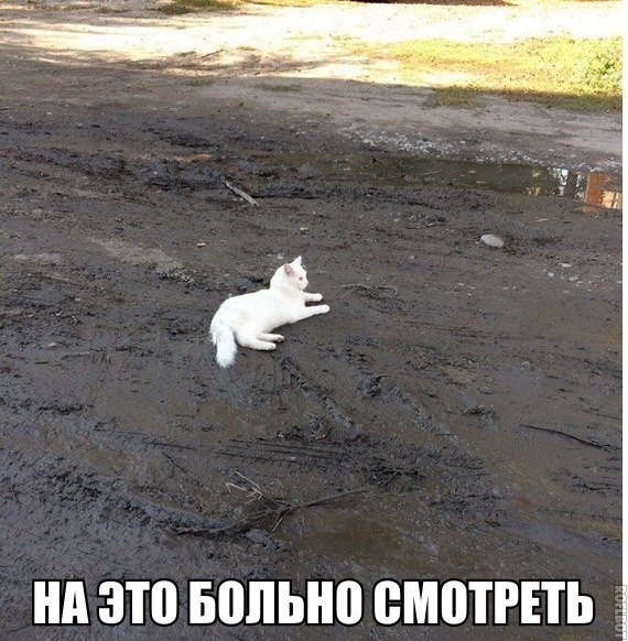    :D - 2  2017  01:36