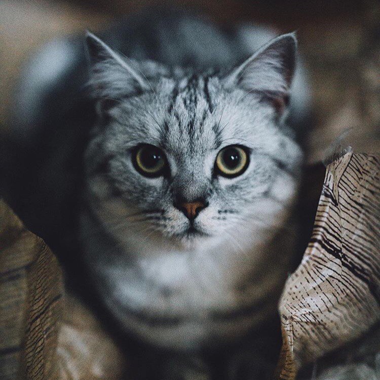   :3 - 9