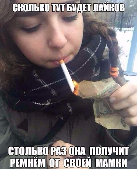  -   - 7  2017  20:41