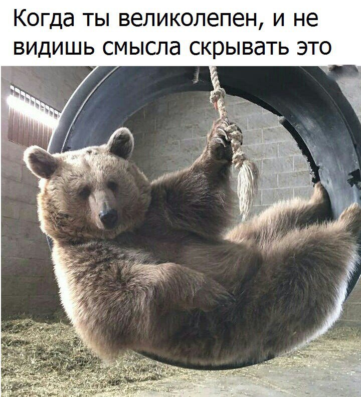    ! - 1  2017  16:02