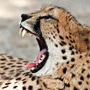 ���� �����, ������������, 53 ���� - ��������� 24 ������� 2017 � ������ ���� ����������