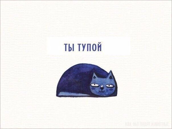   . - 6