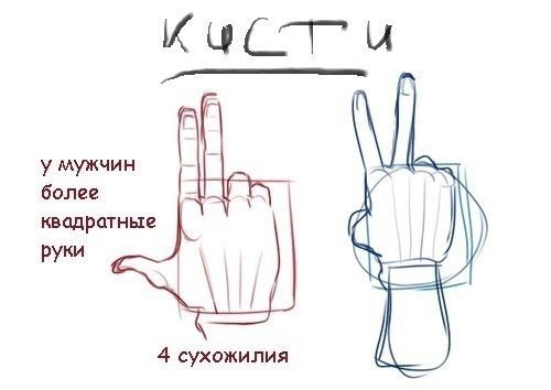    - 2