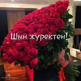 Jaudir, ������, 39 ���