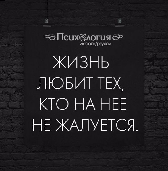  - 5  2017  08:33