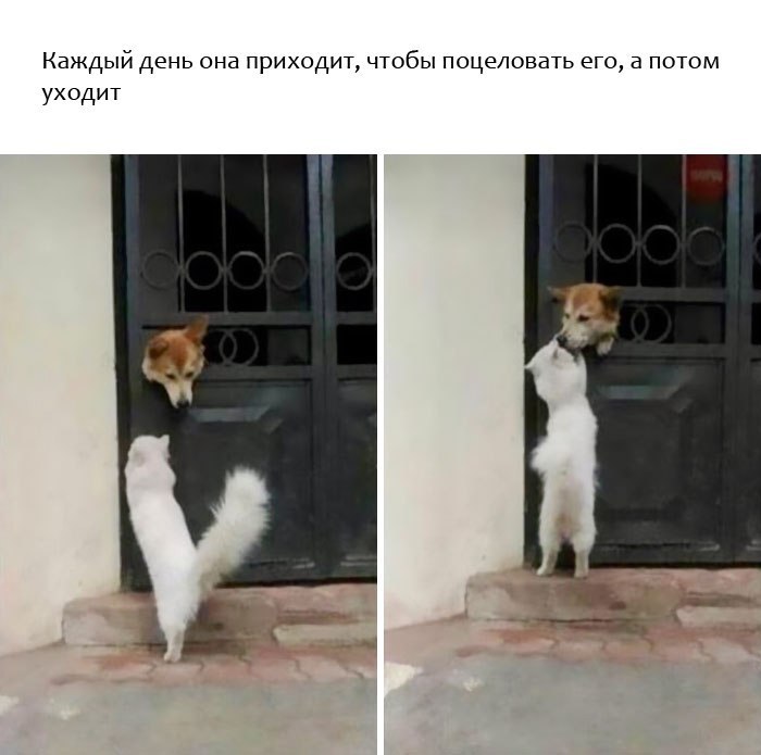 9  ,      .