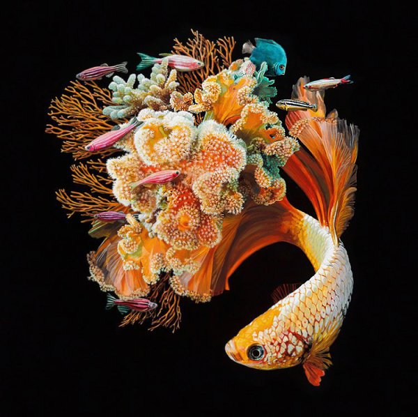   (Lisa Ericson)  ,   ,    ,  ... - 9