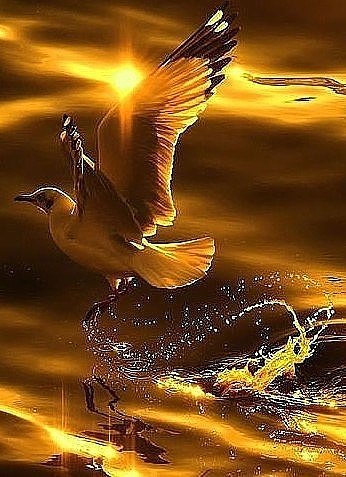  ,  ,    ,      ,     . ...