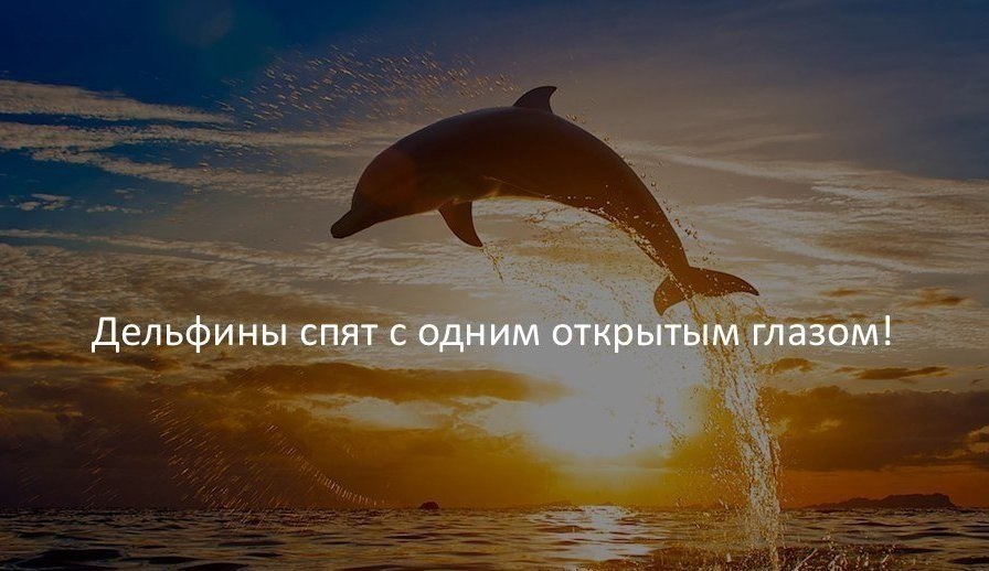   :    - 30  2017  08:28