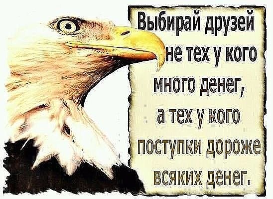 Когда плачет ребенок...МАТЬ может встать даже с предсмертного ложа... Когда плачет МАТЬ...иные дети ... - 4