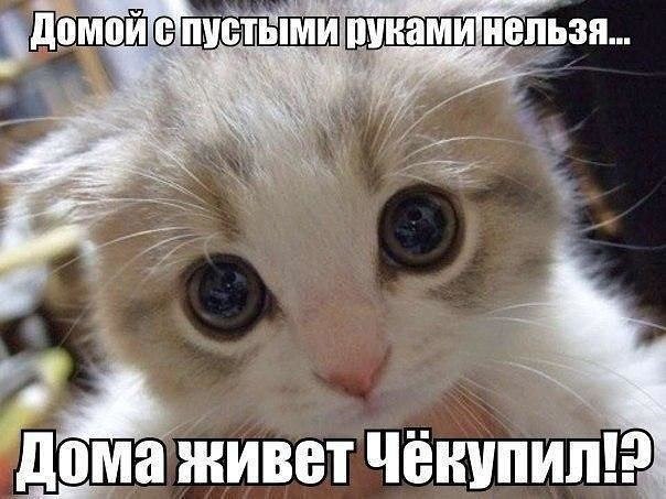 ����� - 21 ���� 2017 � 14:26