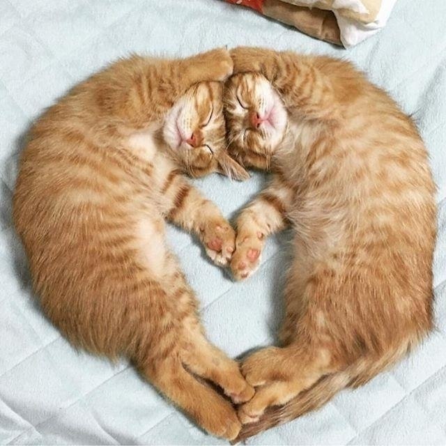      :3