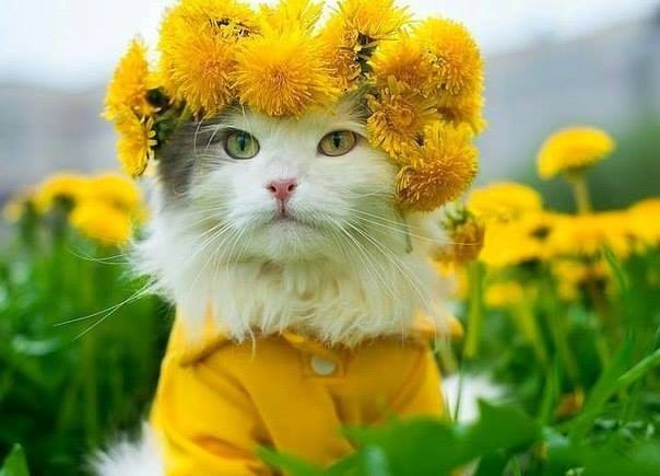 . .  .......   !    .......    ...