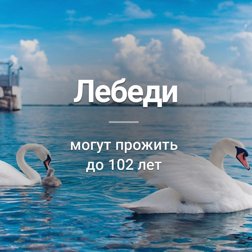    - 13  2017  17:20