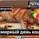 ���� ������, �����, 77 ��� - ��������� 8 ������� 2017 � ������ ������ ��������