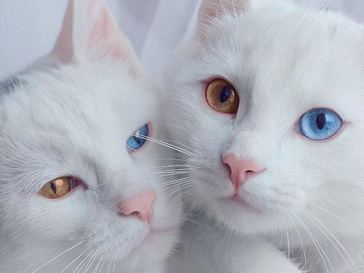   :3