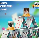  , , 51  -  19  2017    -