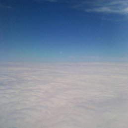 �����, ������, 39 ���