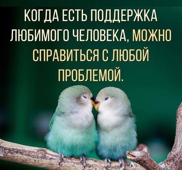 ..... - 2